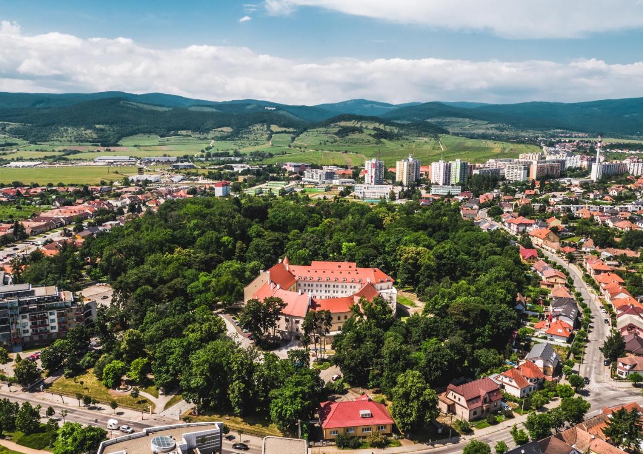 Palace Art Hotel Pezinok Ngoại thất bức ảnh